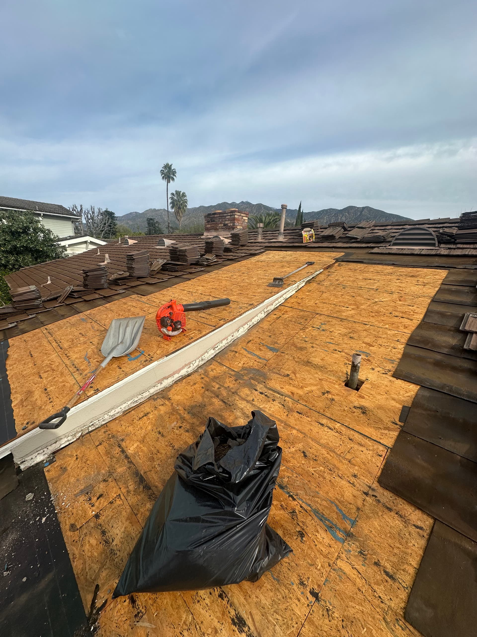 Gallery photos for An Unexpected Visitor During Our Roof Repair in Arcadia: Image #1